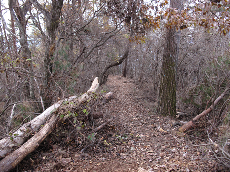 20181126hike (293)